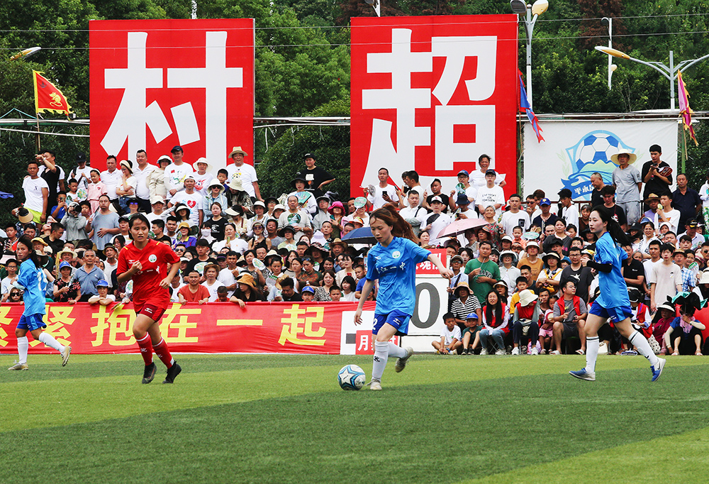 专家们的持 专家们的持