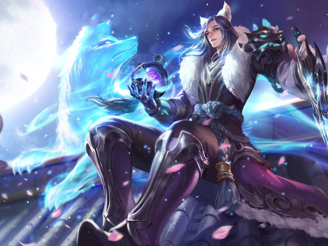 根植于荷兰 根植于荷兰